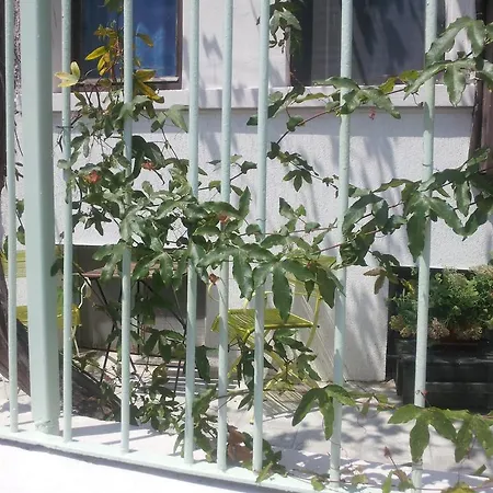 Хостел старата къща Бургас